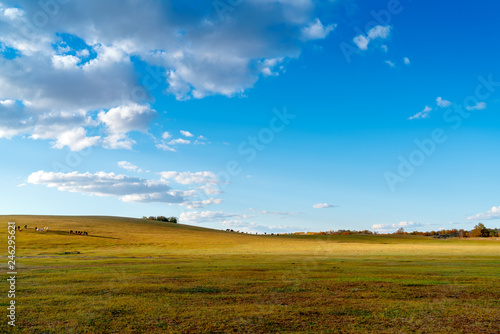 Grassland dusk landscape