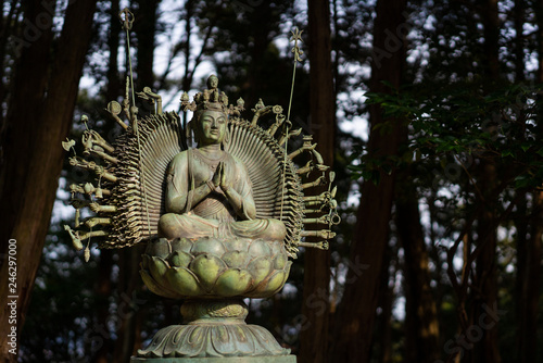 Buddha with a lot of arms in a Japanese forest 