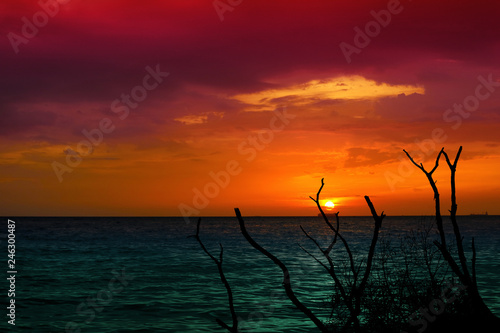 sunset and ship on ocean and silhouette dry tree colorful cloud sky