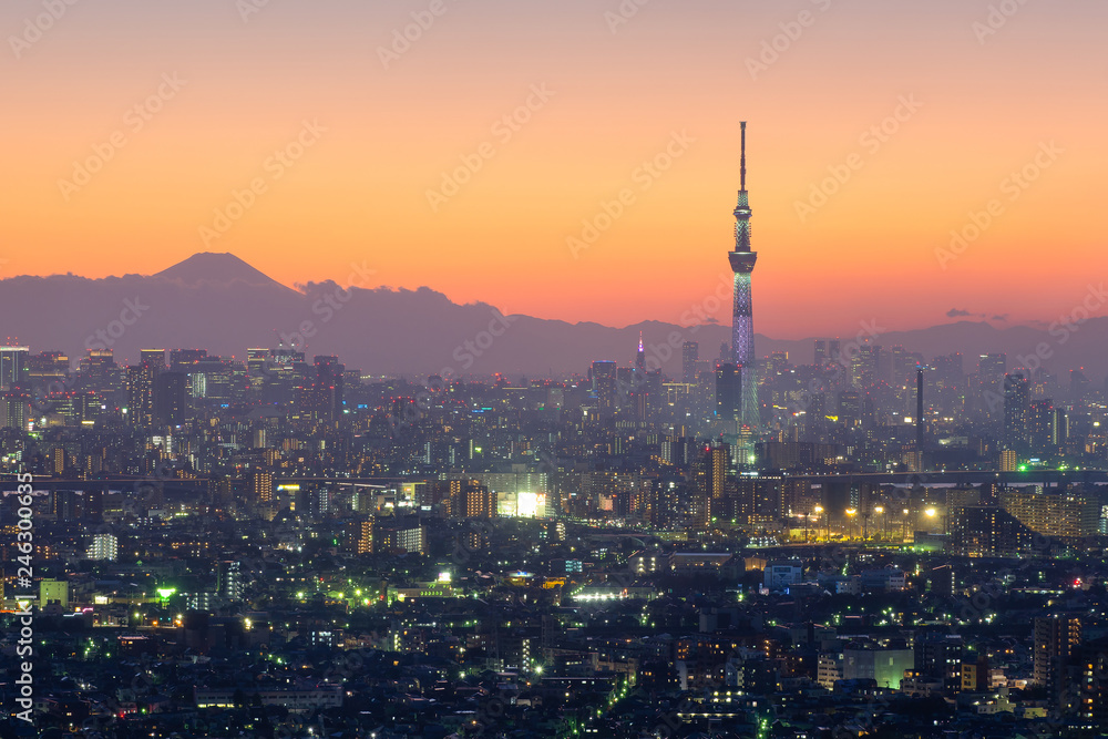 Aerial view of Tokyo city and Skytree tower at twilight in Japan