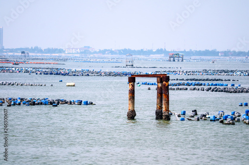The mussels are made from plastic buckets and come with ropes under the sea