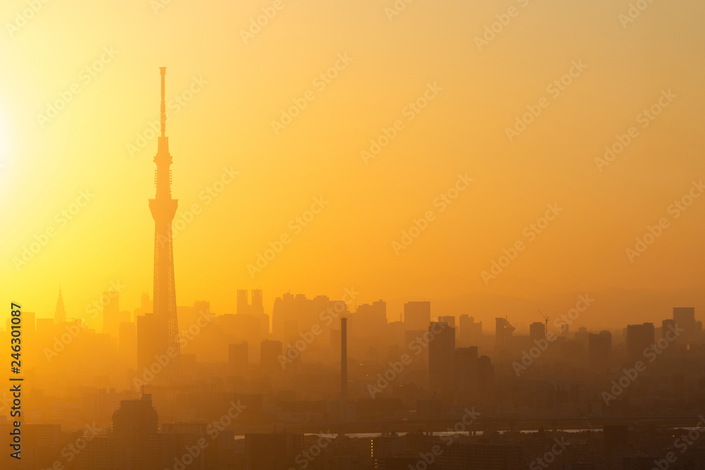 Aerial view of Tokyo city and Skytree tower at dusk in Japan