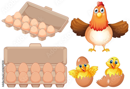 Set of fresh egg and chicken