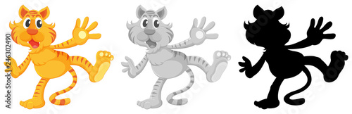 Set of tiger character