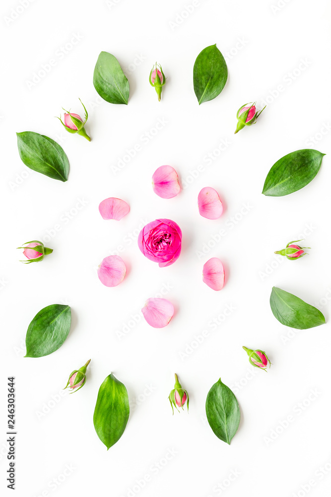 Stylish pattern with flowers. Roses, buds, petals on white background top view