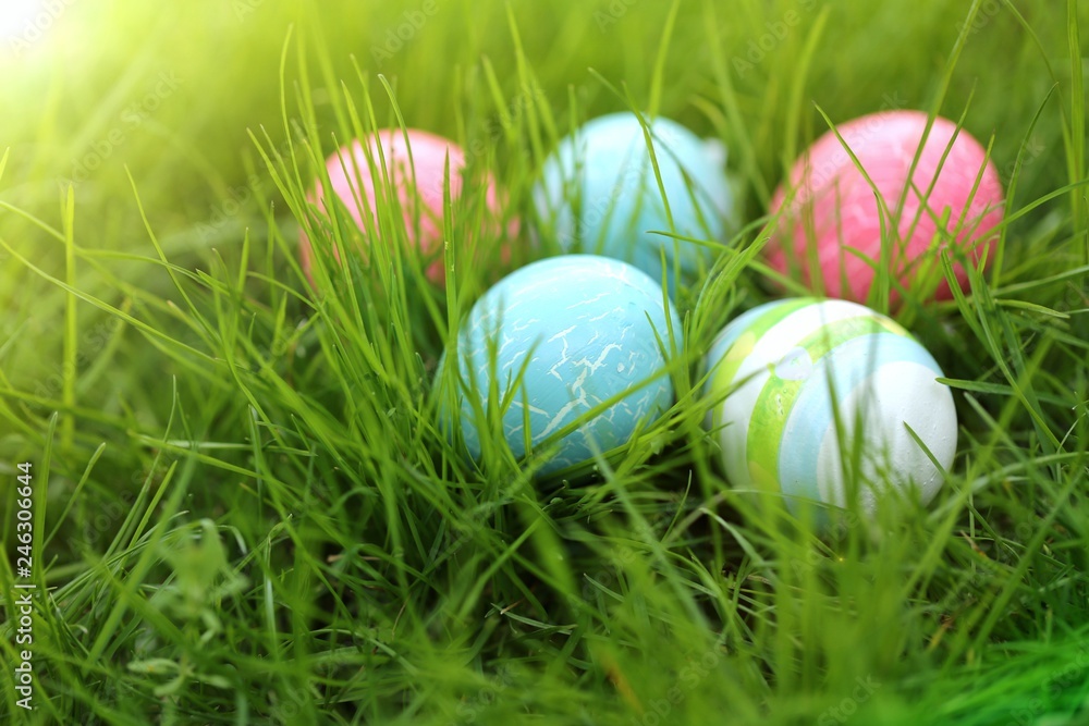  Easter holiday. Easter eggs in high bright green grass.Easter festive background.Spring season