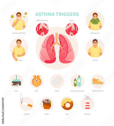 Asthma triggers vector
