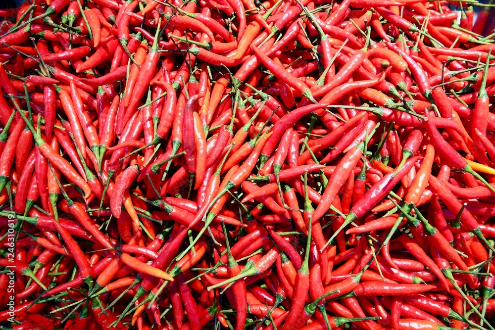 Pile of red Fresh Chili