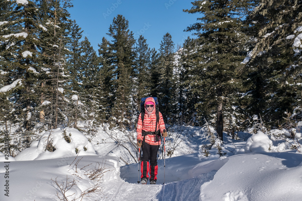 The girl goes on the trail in the winter forest