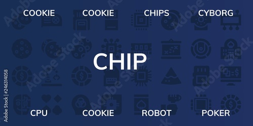  chip icon set