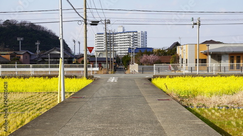 Wallpaper Mural A rural side traffic landscape, Japan Torontodigital.ca