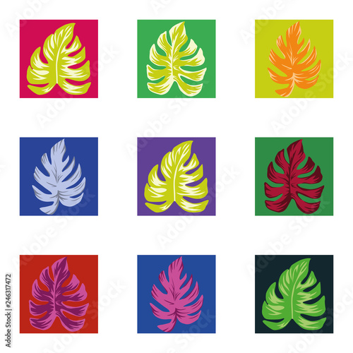 Abstract color tropical leaves square seamless white background