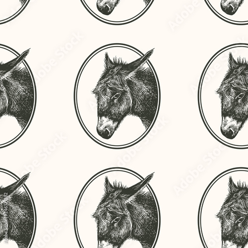 Seamless pattern with farm animal. Donkey.