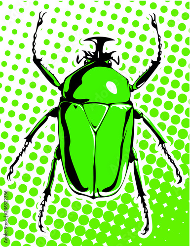 Insecto