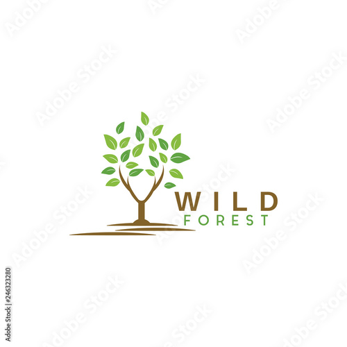 Wild forest logo graphic design template vector illustration
