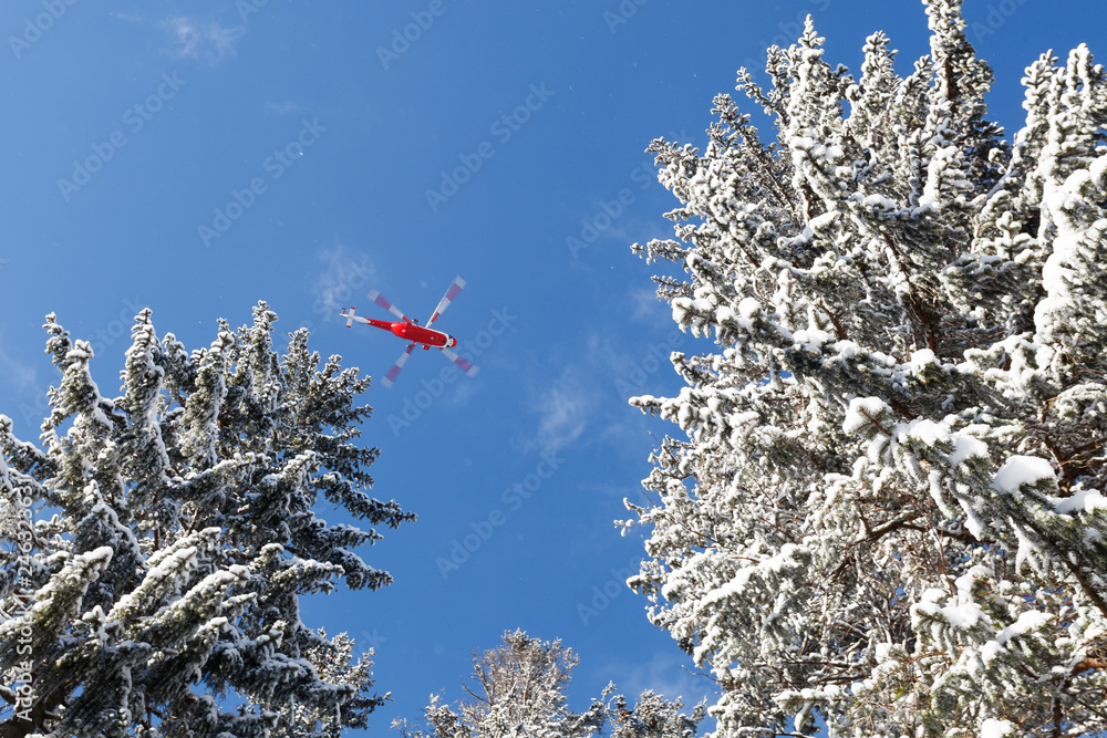 Czerwony helikopter na tle niebieskiego zimowego nieba - obrazy, fototapety, plakaty 