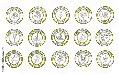 Set of essential oil labels