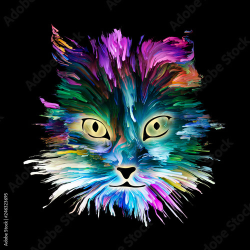 Colorful Kitty