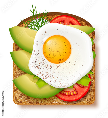 Avocado toast with fresh slices of ripe avocado, seasoning and dill, tomato and fried egg. Delicious avocado sandwich. Vector illustration