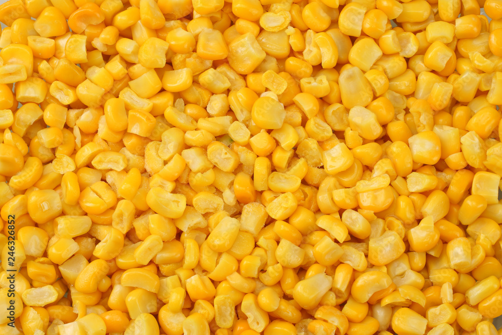 Fresh corn closeup for background. corn texture Fresh corn closeup for background. corn texture