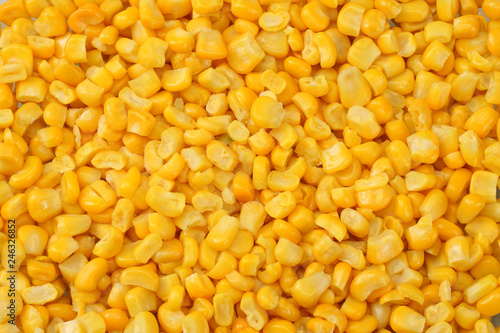Fresh corn closeup for background. corn texture