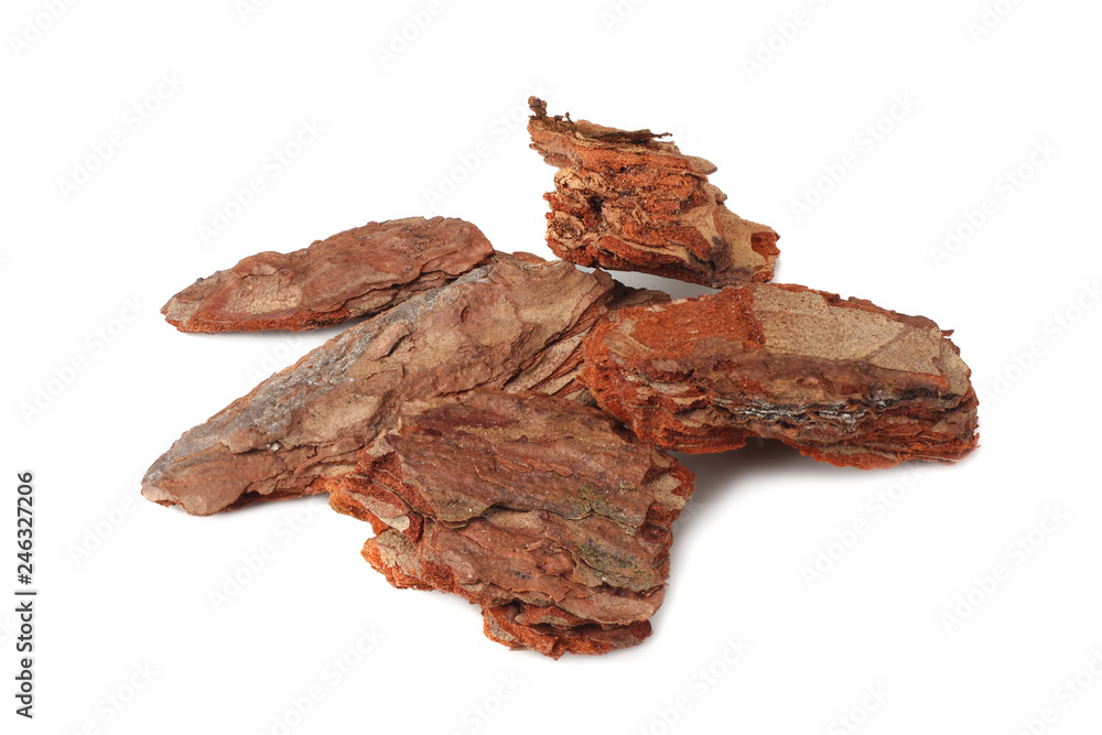 Tree bark pieces isolated on white background. Tree bark pieces isolated on white background.