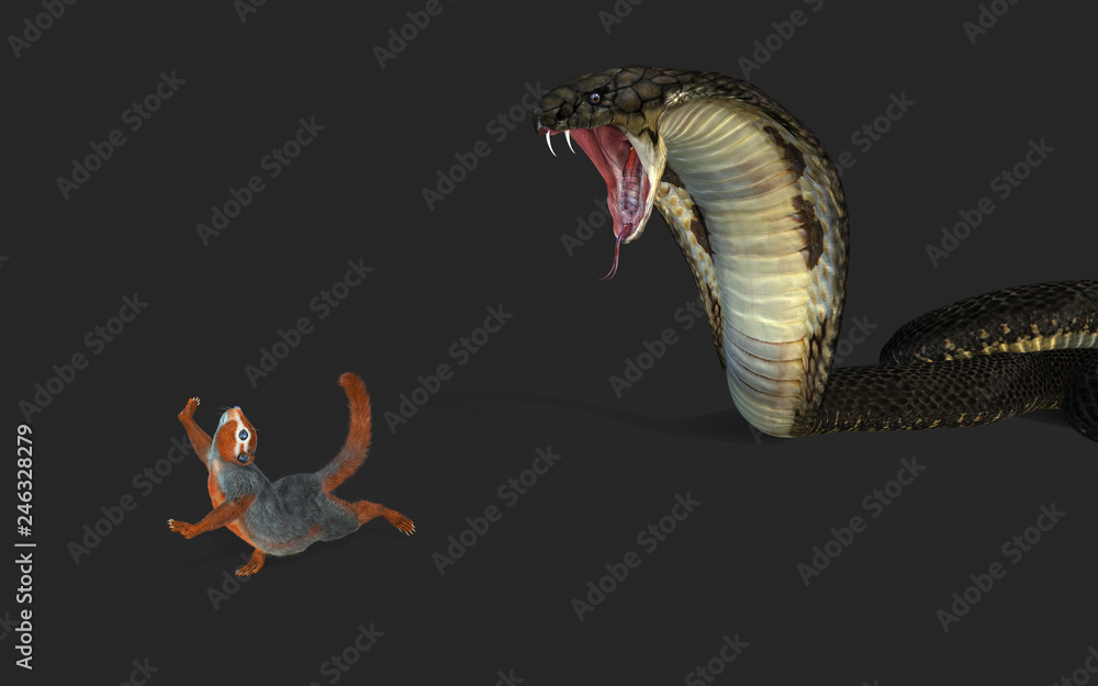 Obraz premium 3d Illustration King Cobra Snake polowanie i ucieczka wiewiórki z Clipping Path.