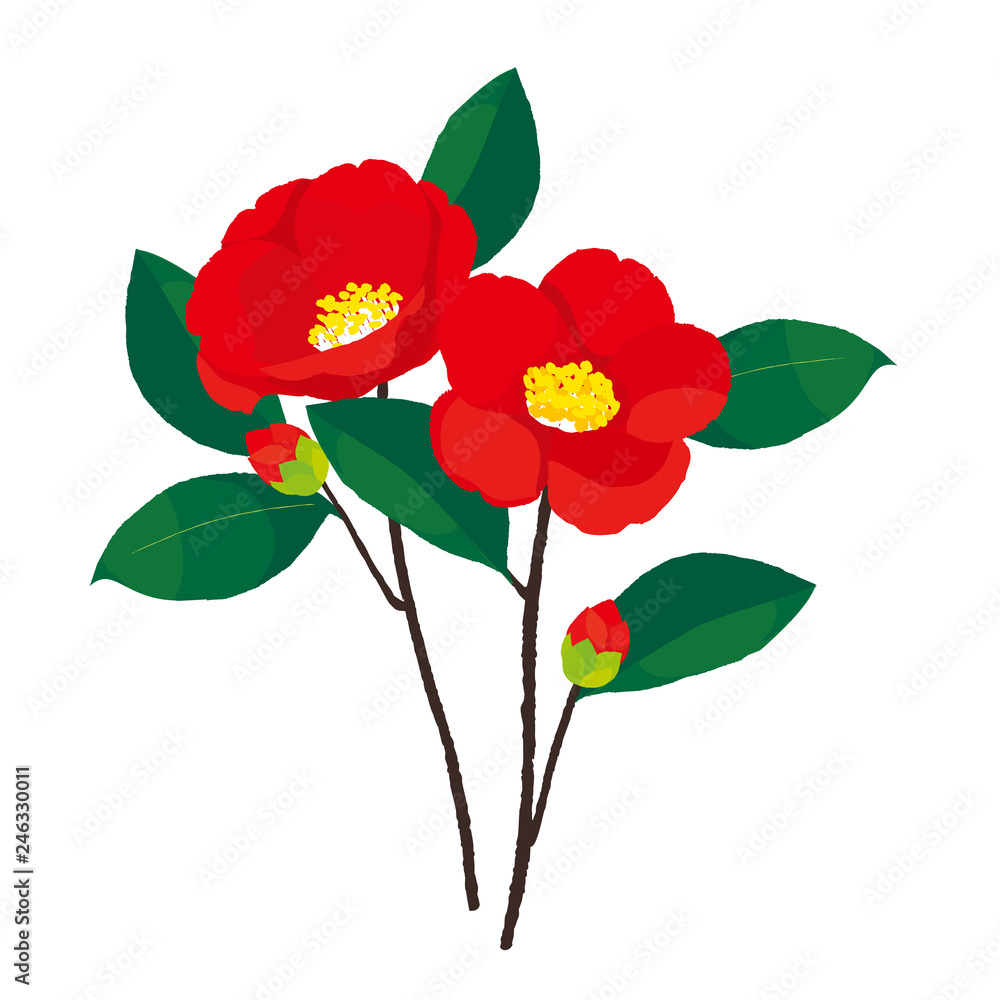 椿 カットイラスト Stock ベクター Adobe Stock