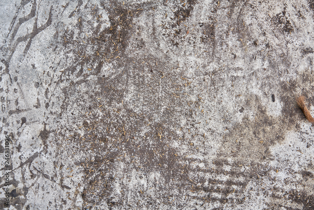 cement floor background Rustic style cement floor background Rustic style