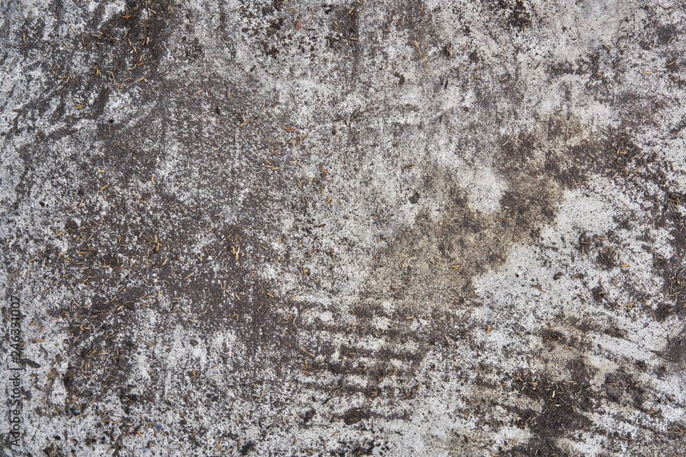 Obraz premium cement floor background Rustic style