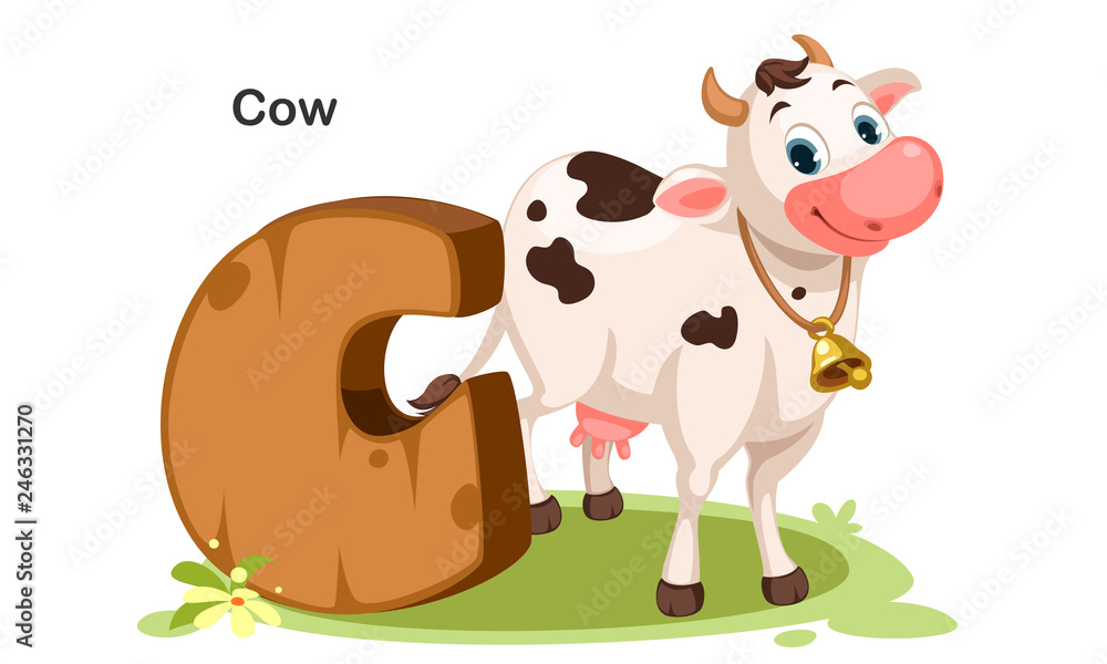 C for Cow