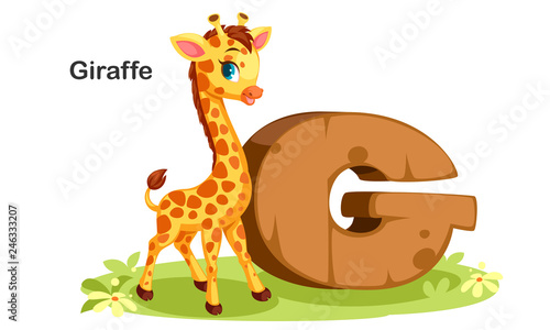 G for Giraffe