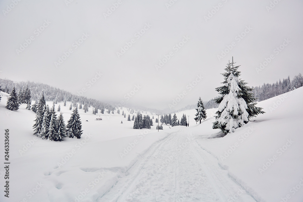 Mountain road during winter