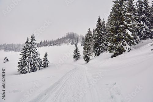 Mountain road during winter © Xalanx