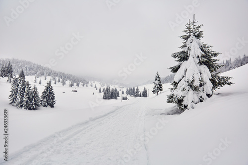 Mountain road during winter