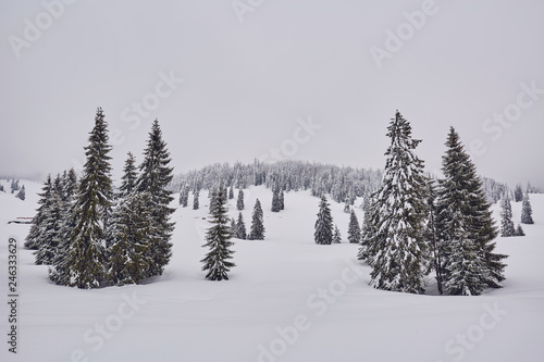 Winter landscape in the mountains © Xalanx