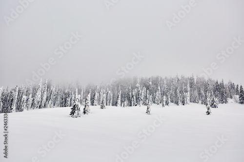 Winter landscape in the mountains