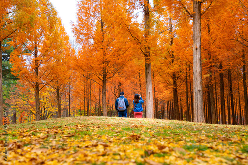 Canvas Print Korean couple walking in nami park in nami island