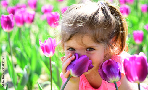 Danger in a vase. face skincare. allergy to flowers. Small child. Natural beauty. Childrens day. Little girl in sunny spring. Summer girl fashion. Happy childhood. Springtime tulips. weather forecast © Volodymyr
