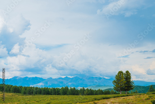 Spectacular view of mountain scenery. Amazing landscape with footpath and coniferous trees in highland. Distant giant rocky mountains under cloudy sky. Wonderful scenic green mountainscape. Two cedars