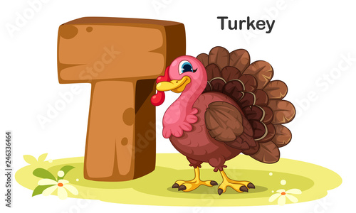 T for Turkey