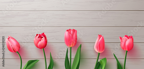 Beautiful realistic tulips on wooden background.Vector illustration for postcards,posters, coupons, promotional material.