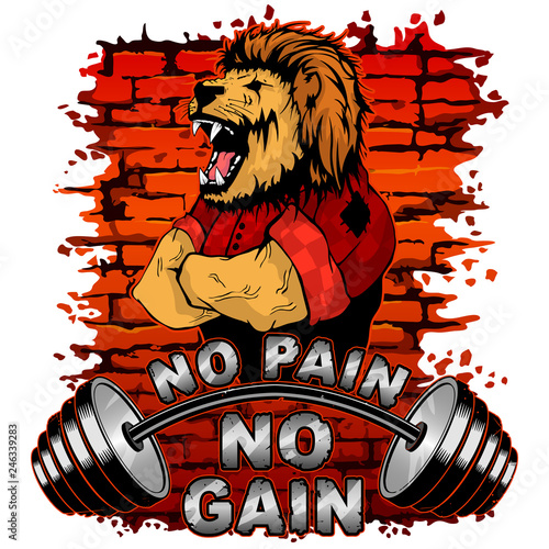 Vector illustration of a barbell and a strong lion on a brick wall background. No pain No gain