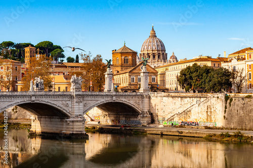 Tiber river streams, Ponte Vittorio Emanuele II bridge, flying seagulls and Rome cityscape view with St. Peter dome on the background © YKD