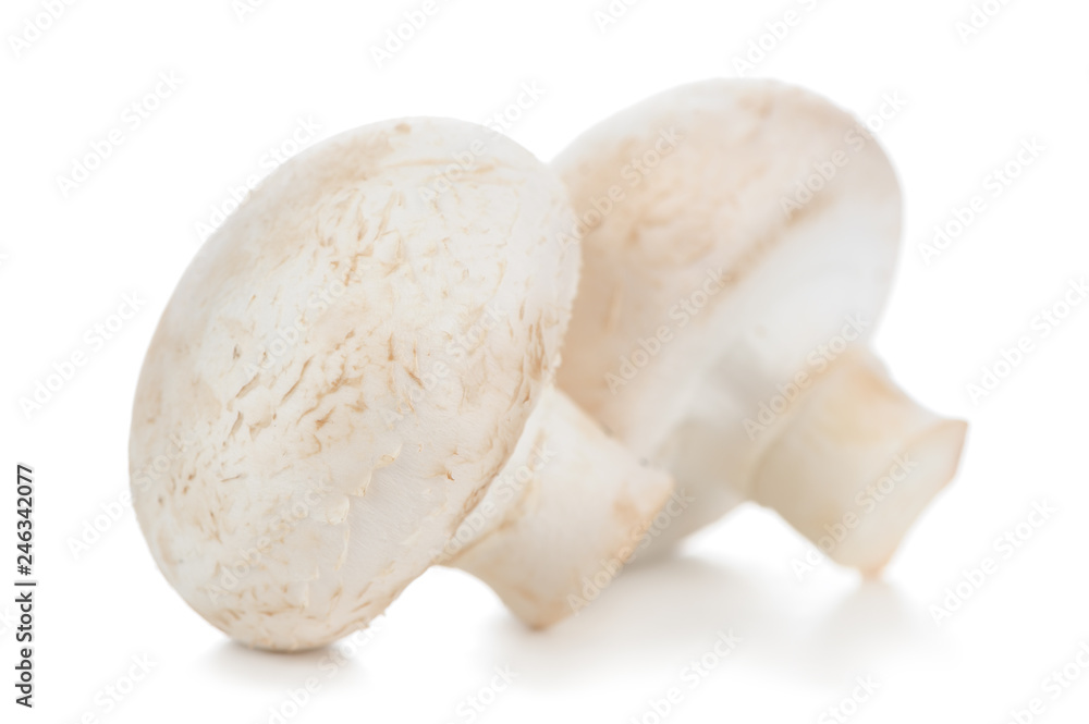 Two White Button Mushrooms (Champignon) Isolated on White Background Two White Button Mushrooms (Champignon) Isolated on White Background