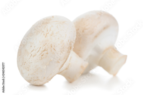 Two White Button Mushrooms (Champignon) Isolated on White Background