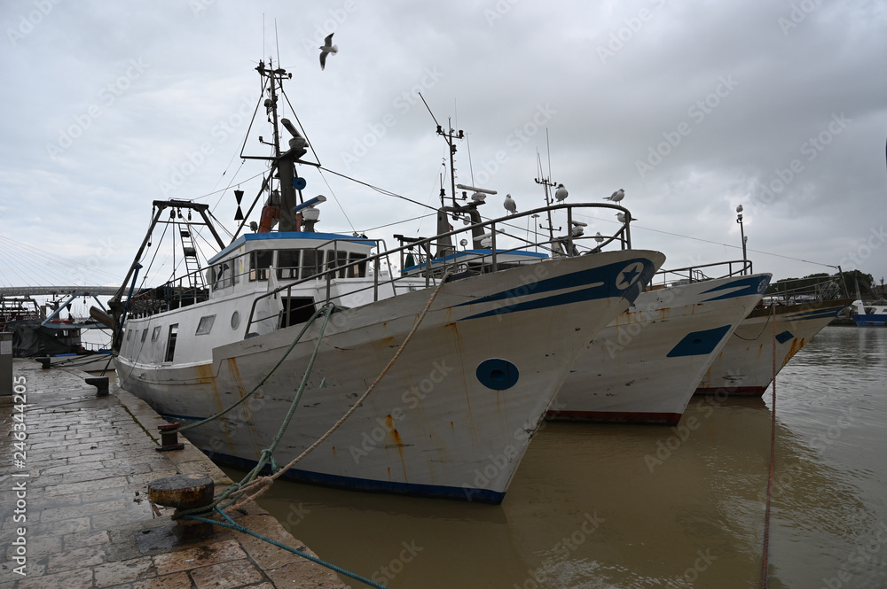 fishing boats anchored in the port fishing boats anchored in the port