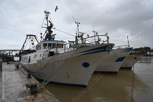 fishing boats anchored in the port