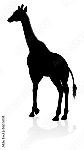 A high quality giraffe animal silhouette