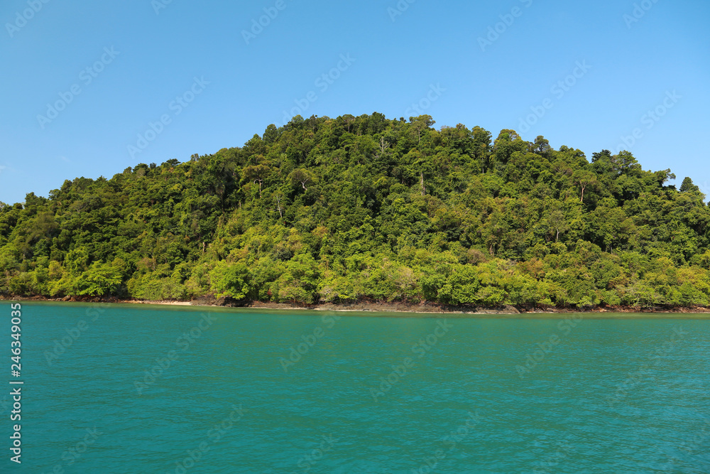 Green island in the Gulf of Siam, Thailand